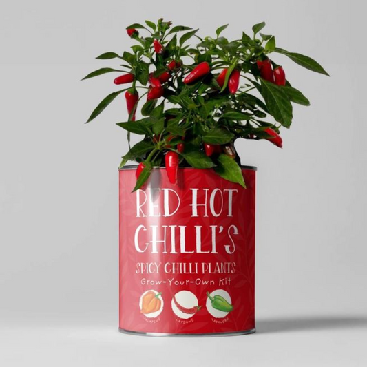 Grow Your Own Kit Red Hot Chillis