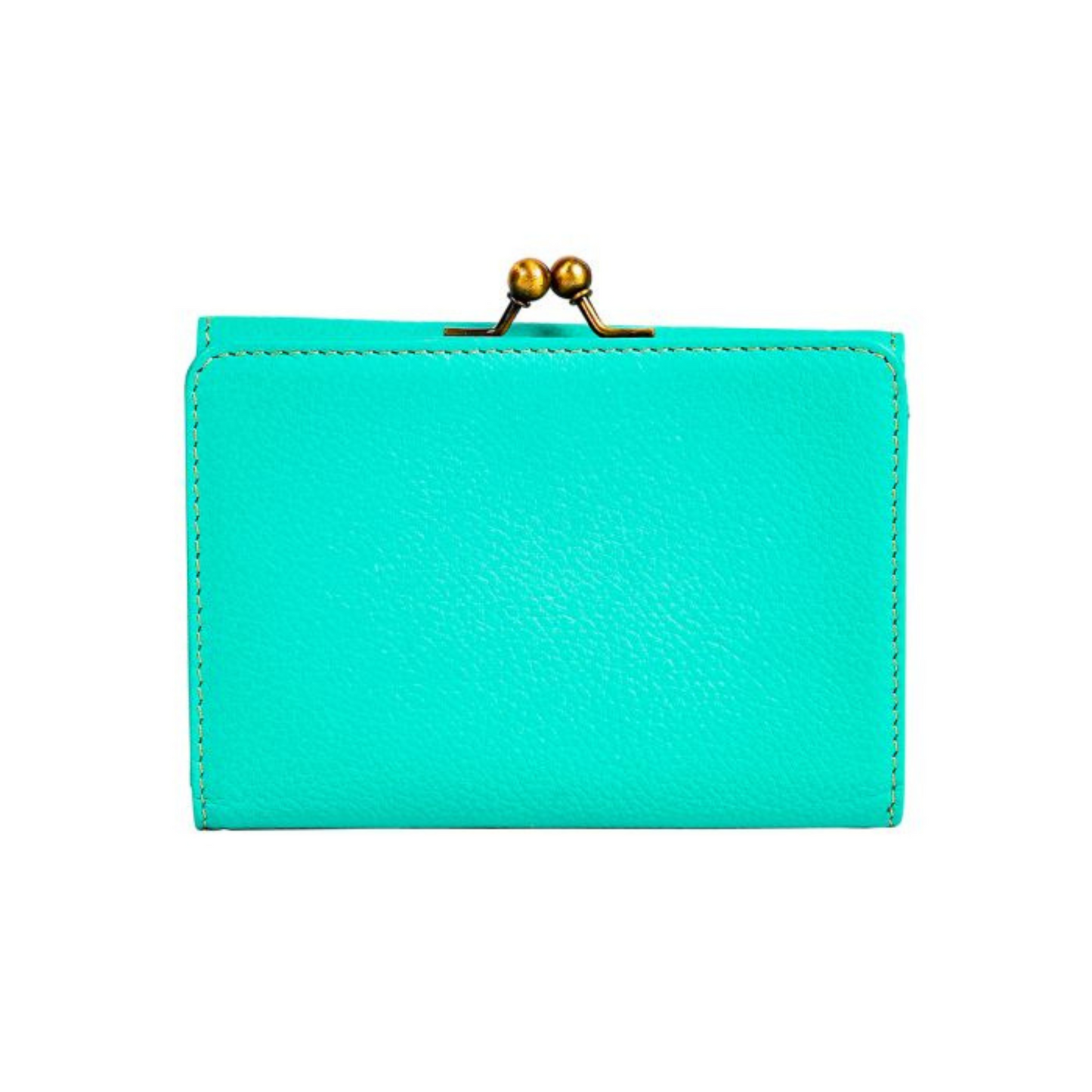 Gypsum Trail Coin Purse Turquoise